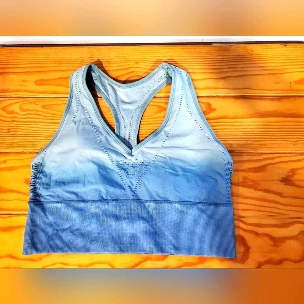 PINK Ombre Blue Sports Bra Size XL NWOT